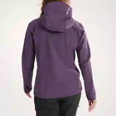 Arcteryx Gamma Hoody