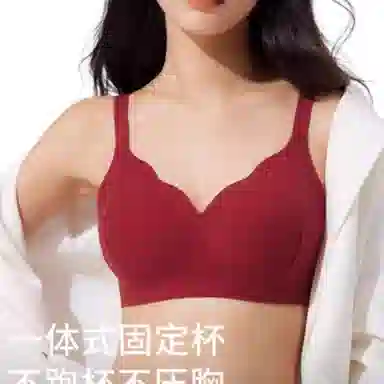 欧迪芬 大胸显小胸聚拢提拉收副乳防下垂文胸 女款
