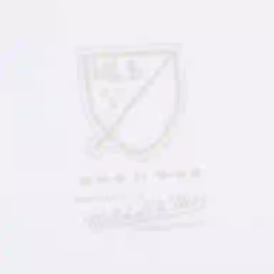 Mitchell Ness x MLS T