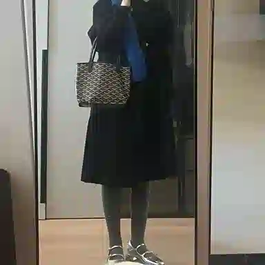 FANJI Goyard Anjou Mini