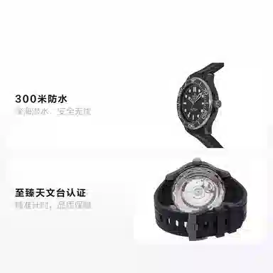 OMEGA Seamaster 210.92.44.20.01.001