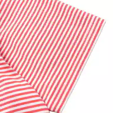 Polo Ralph LaurenT SS25