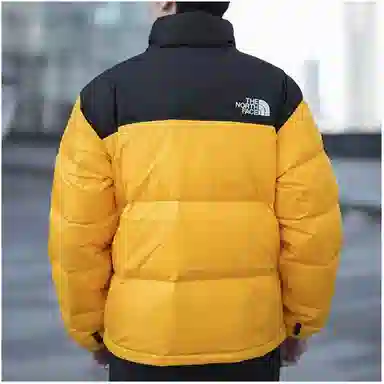 THE NORTH FACE 1996 logo