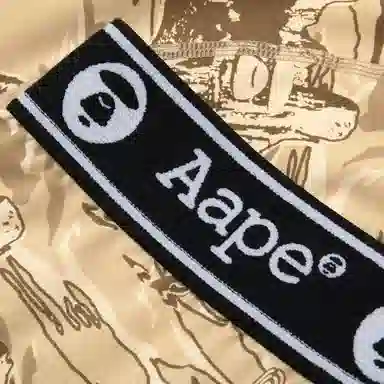 Aape 1