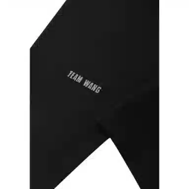 TEAM WANG SS23 THE ORIGINAL 1 Logo