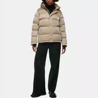 ARITZIA Super Puff Liquid Shine