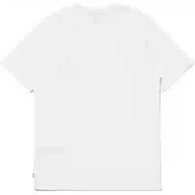 levis T