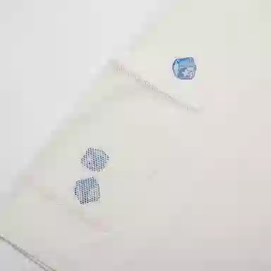 Converse logo SS24T