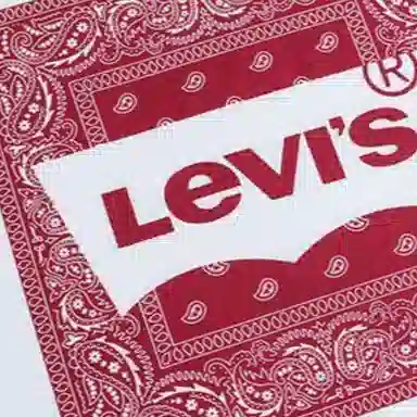 Levis SS23 LogoT