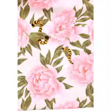 TEAM WANG design MUDANCE