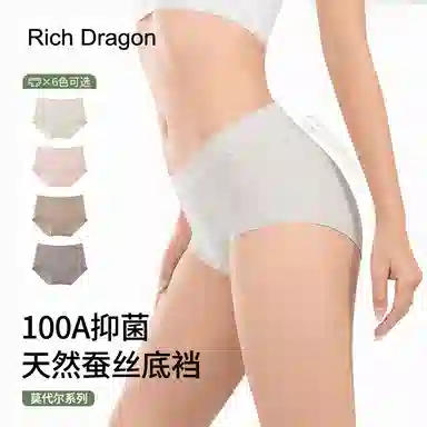 Rich Dragon 100A