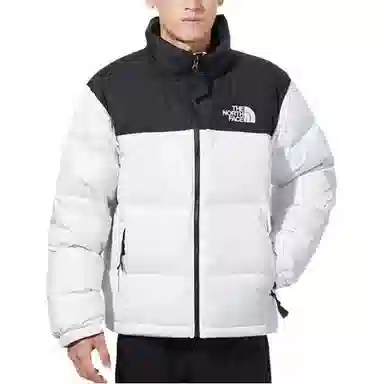 THE NORTH FACE 1996 Logo