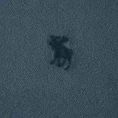 AbercrombieFitch Polo 5 5