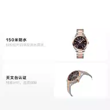 OMEGA Seamaster 220.20.41.21.06.001