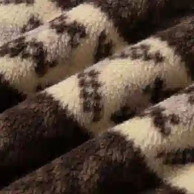 Ralph Lauren Printed Long Sleeve Sweatshirt Brown