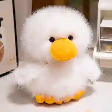 25cm30cm