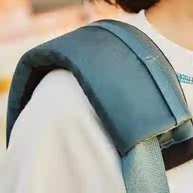 MYSTERY RANCH District 4L