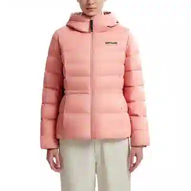 NORTHLAND PROFESSIONAL