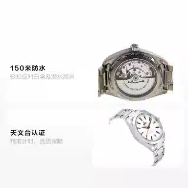 Omega Seamaster 220.10.41.21.02.001