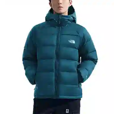 THE NORTH FACE Hydrenalite Logo