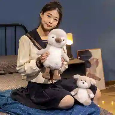 21cm30cm