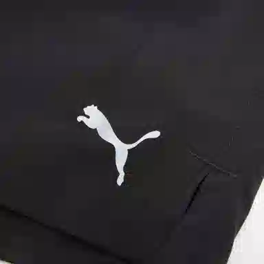 PUMA RUN EVOLVE WOVEN 4" SHORT