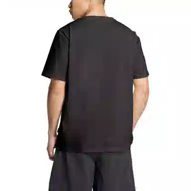 adidas Terrex POLYGIENE GRAPHIC T