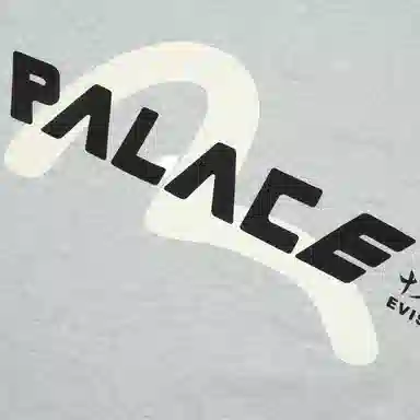 Palace x Evisu SS24 T-Shirt Grey