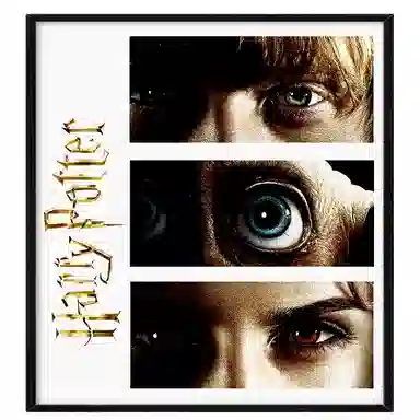 HARRY POTTER 7 30cm*43cm