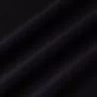 Polo Ralph Lauren T
