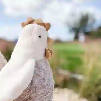 MONAMI 25cm