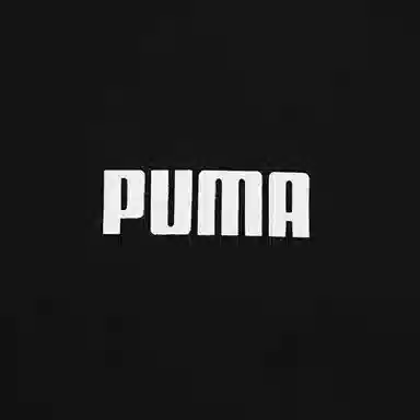 PUMA Small Logo V-Neck Tee VT
