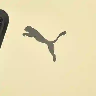 PUMA LOGO