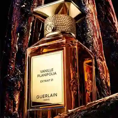 Vanille Planifolia Extrait 21 parfum 50ml