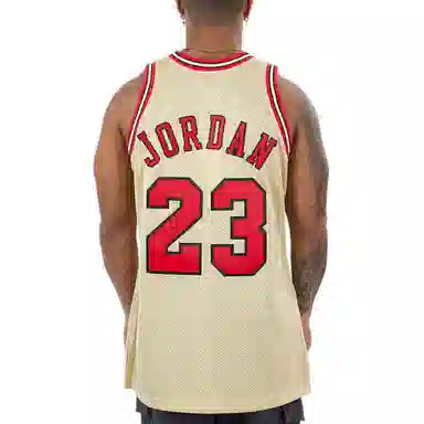 Mitchell Ness NBA AU 1995-96
