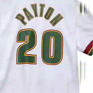 Mitchell Ness T 20
