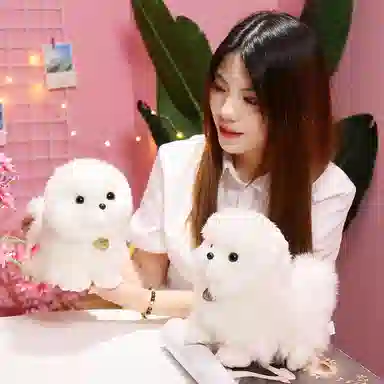 pom 23cm