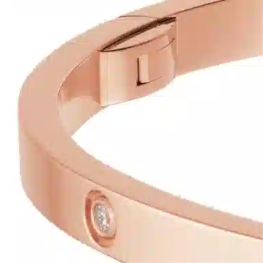 Cartier Love Bracelet
