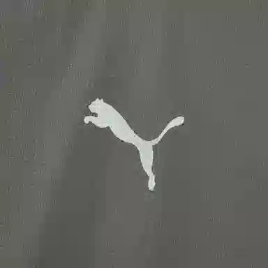 PUMA ESS ELEVATEDWOVEN LogoT