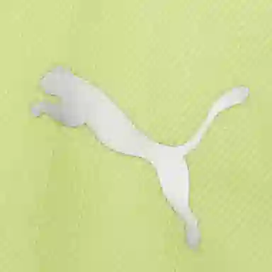 Puma Logo