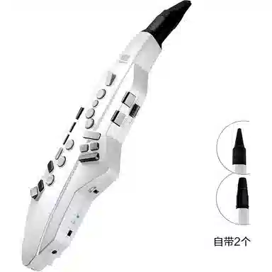 Roland AE05C" Aerophone