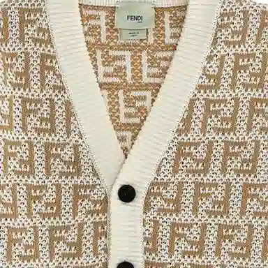 FENDI V