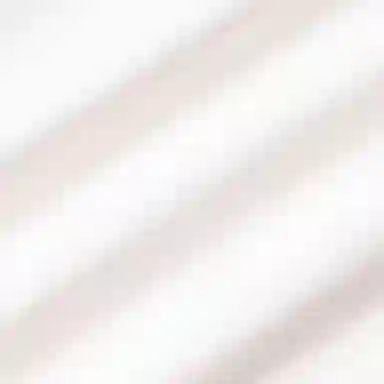 Polo Ralph LaurenSS25LogoT