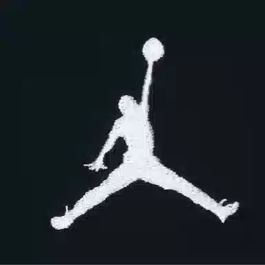 Jordan Logo