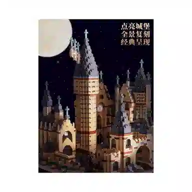 1604pcs LZ8219