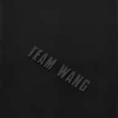 TEAM WANG Logo