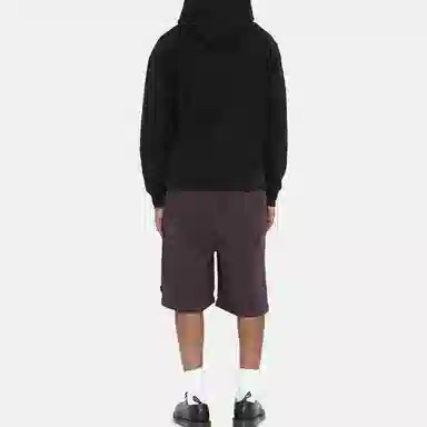 Stussy SS22 Brushed Beach Short