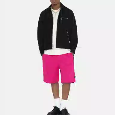 Stussy SS22 Brushed Beach Short