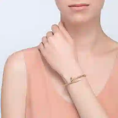 Cartier Juste Un Clou Bracelet