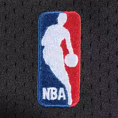 Mitchell Ness NBA AU 99-00 30